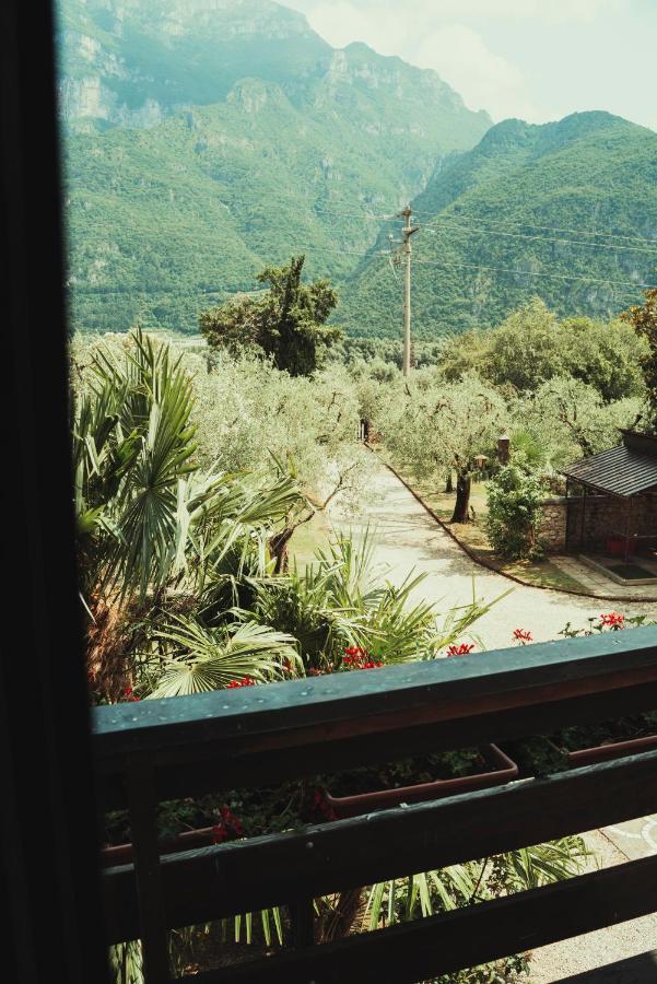 Az. Agr. Tenuta La Casetta Mama di Sopra Luaran gambar